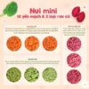 Nui mini rau củ Mămmy cho bé mới ăn dặm tập nhai trên 6 tháng, Hộp/ 100g - Hình ảnh 6