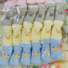 Lố 12 đôi vớ tất thú sơ sinh – mẫu 12 thú sọc thun Cotton Có Chống Trượt Xinh xắn cho bé - Hình ảnh 14