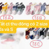 Set 5 đôi tất lưới điều hòa hè thu cổ thấp chất liệu cotton mềm mại thoáng khí cho bé từ 0-6 tuổi